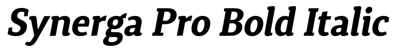 Synerga Pro Bold Italic